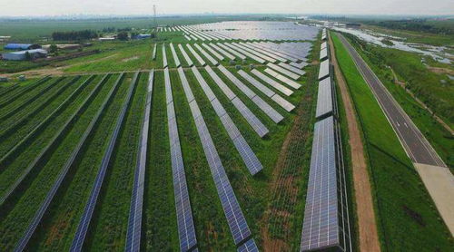 高考地理高频考点 农作物种植方式与特色农业解析