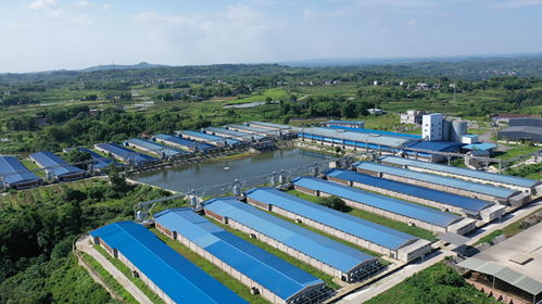 工行重庆市分行 普惠金融助力农业技术开发，服务实体经济促发展