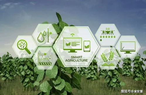 食安慧 建立种植基地溯源系统，打造源头精品蔬菜