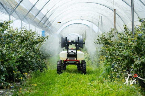 加大对农业科技的经费和政策支持，推动农业技术开发