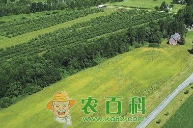 山东滨州高效生态农业建设 农业技术开发引领绿色转型