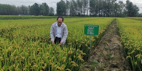 扎根基层二十九载 匠心服务三农显担当——记“滁州好人”周福红先进事迹