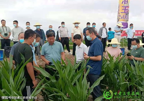 酒泉市农技中心 统筹谋划促发展，协调推进抓落实，谱写农业技术开发新篇章