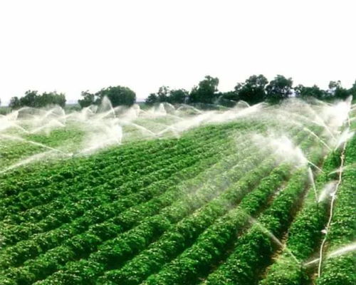 科技赋能，沃野新章 农业科技化与技术开发的融合创新