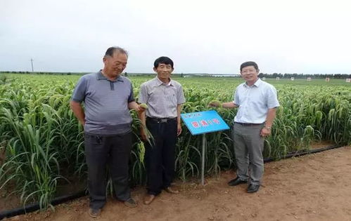 以民为本，以食为天，以安为先——蒙清农业的科技兴农之路