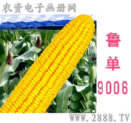 河南原阳航信农业科技开发推广中心 驱动农业技术创新的引擎