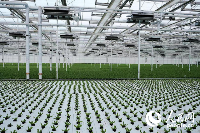 西部崛起 以大开放引领农业技术开发新篇章