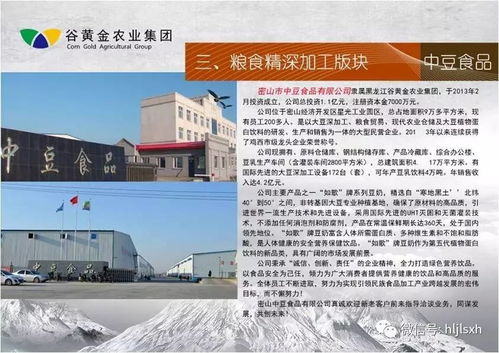 赋能现代农业，谷黄金农业集团引领农业技术开发新篇章