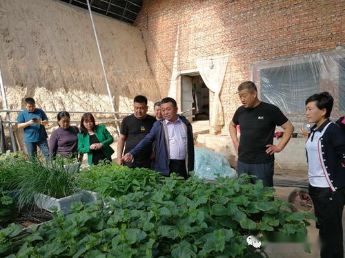 筑牢疫情防线，守护“菜篮子”安全——省农业农村厅调研指导我市农产品质量安全工作